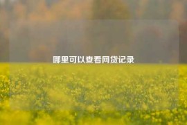 哪里可以查看网贷记录