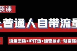 让普通人自带流量的逆袭课-流量+IP打造+财富路径