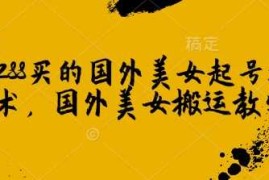 2025最新1288买的国外美女起号技术，国外美女搬运教学02-14冒泡网