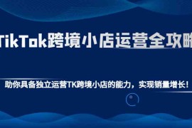 赚钱项目TikTok跨境小店运营全攻略：助你具备独立运营TK跨境小店的能力，实现销量增长！01-07福缘网