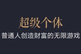 创业项目超级个体：2024-2025翻盘指南，普通人创造财富的无限游戏01-12冒泡网