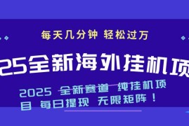 赚钱项目（14340期）2025最新海外挂机项目：每天几分钟，轻松月入过万02-27中创网