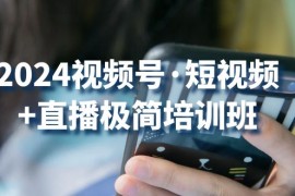 热门短视频运营项目，2024视频号·短视频+直播极简培训班：抓住视频号风口，流量红利