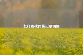 怎样查找网贷记录明细