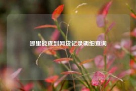 哪里能查到网贷记录明细查询