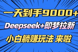 2025最新（14371期）日入9000+！Deepseek+即梦拉新，新手躺赚攻略来啦！03-01中创网