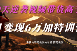 2025最新2025视频带货30天逆袭视频带货高手，单月变现6万加特训营03-13福缘网