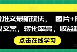 每天小说推文最新玩法，图片+搭配小说文案，转化率高，收益稳定11-18冒泡网
