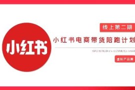手机项目2025小红书虚拟电商实战课，从0到1打造无货源店铺，AI+爆款笔记轻松变现03-25冒泡网