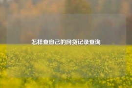 怎样查自己的网贷记录查询