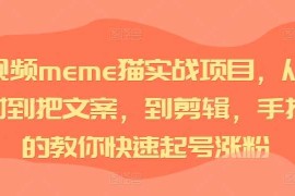 每日短视频meme猫实战项目，从选素材到把文案，到剪辑，手把手的教你快速起号涨粉10-24冒泡网