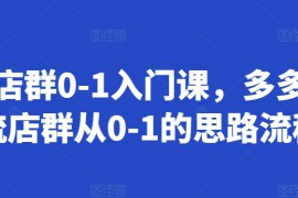 每日多多店群0-1入门课，多多自然流店群从0-1的思路流程11-10冒泡网