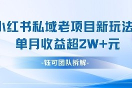 小红书私域项目新玩法，单月变现过W+