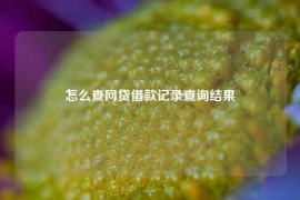 怎么查网贷借款记录查询结果