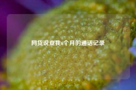 网贷说查我6个月的通话记录