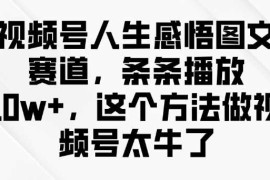 实战视频号人生感悟图文赛道，条条播放10w+，这个方法做视频号太牛了02-27冒泡网