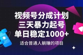 （14634期）视频号分成计划，三天暴力起号玩法 单日稳定1000+