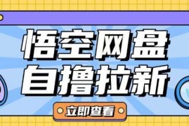 热门项目全网首发悟空网盘云真机自撸拉新项目玩法单机可挣10.20不等02-27冒泡网