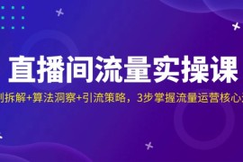 手机创业（14122期）直播间流量实操课：机制拆解+算法洞察+引流策略，3步掌握流量运营核心逻辑03-23中创网