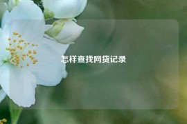 怎样查找网贷记录