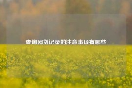 查询网贷记录的注意事项有哪些