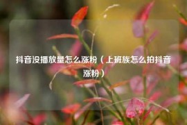 抖音没播放量怎么涨粉（上班族怎么拍抖音涨粉）