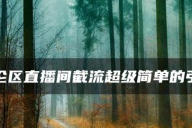抖音评论区直播间截流-超级简单引流方式有手+手机就能干