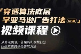 热门项目穿透算法底层，学亚马逊广告打法SP篇，从算法侧讲广告架构和实操打法，让你不再只学会表层方法12-15冒泡网