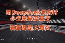 最新项目用DeepSeek写小生意做流量主，篇篇都是大爆文03-26冒泡网