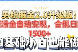 简单项目（14190期）男粉项目2.0升级版！后端全自动变现，合规日赚1500+，7天干粉矩阵起号&#8230;02-15中创网
