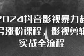 热门项目2024抖音影视暴力起号涨粉课程，影视剪辑搬运实战全流程11-02冒泡网