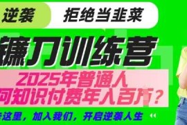 赚钱项目【网创项目终点站-镰刀训练营超级IP合伙人】25年普通人如何通过知识付费实现逆袭【揭秘】03-23冒泡网
