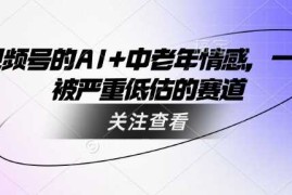 热门项目视频号的AI+中老年情感，一个被严重低估的赛道03-01冒泡网