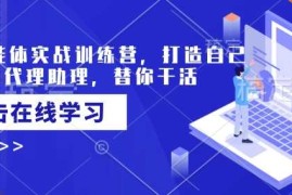 手机创业AI智能体实战训练营，打造自己专属的代理助理，替你干活02-16冒泡网