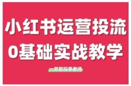 赚钱项目小红书运营投流，小红书广告投放从0到1的实战课，学完即可开始投放12-15冒泡网