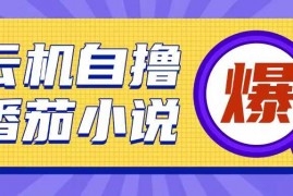 最新项目首发云手机自撸小说玩法，10块钱成本可撸200+收益操作简单【揭秘】12-21冒泡网