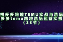 最新项目（11934期）拼多多跨境TEMU实战与选品，多多temu跨境选品运营实操（33节）便宜08月02日中创网VIP项目