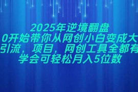 （14473期）2025年逆境翻盘，从0开始带你从网创小白变成大佬，引流，项目，网创工…