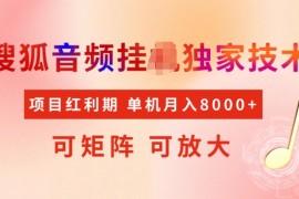 创业项目首发搜狐音频挂JI，项目红利期，可矩阵可放大，稳定月入5k【揭秘】02-17冒泡网