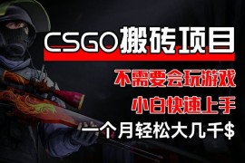 赚钱项目CSGO装备搬砖项目，操作简单，不需要会玩游戏，小白也能快速上手，一个月轻松大几千【揭秘】便宜07月23日冒泡网VIP项目