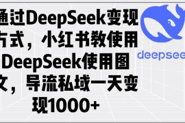 实战（14179期）通过DeepSeek变现方式，小红书教使用DeepSeek图文，导流私域一天变现1000+02-14中创网