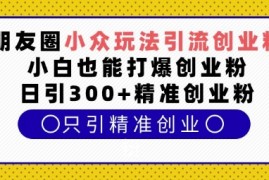 每日朋友圈小众玩法引流创业粉，小白也能打爆创业粉，日引300+精准创业粉【揭秘】12-21冒泡网