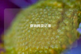 查询网贷记录