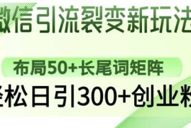 2025最新微信引流裂变新玩法：布局50+长尾词矩阵，轻松日引300+创业粉03-09冒泡网