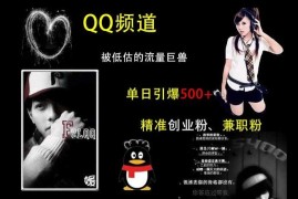 实战QQ频道：被低估的流量巨兽，单日引爆500+精准创业粉、兼职粉的引流秘籍12-05冒泡网