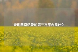 查询网贷记录的第三方平台是什么