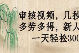 实战（14202期）审核视频，几秒一单，多劳多得，新人小白一天轻松300+02-17中创网