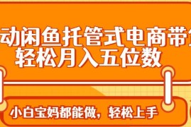 手机项目（14132期）全自动闲鱼托管式电商带货轻松实现月入五位数03-24中创网