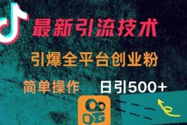 实战最新引流方法，引爆全平台的一个创业粉，简单操作日引300+03-19冒泡网