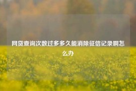 网贷查询次数过多多久能消除征信记录啊怎么办